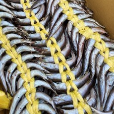 속초 햇 양미리 속초 알배기 건조 반건조 생물 양미리 양미리 옵션선택 반건조 생물 급냉, 1개, 속초 햇 양미리 반건조 1두름