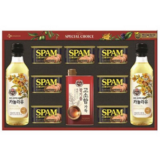 CJ 특별한선택 N호 명절선물세트, 2세트