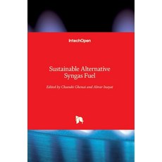 (영문도서) Sustainable Alternative Syngas Fuel Hardcover, Intechopen, English, 9781789845808