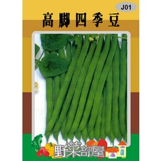 【野菜部屋】J01 高腳四季豆種子 日本高農種子, 1包