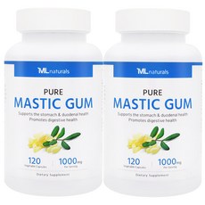 마이라이프 내추럴스 매스틱검 1000mg, 120정, 2개