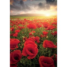 버팔로게임즈 직소퍼즐 - Magic is All Around - 300 대형 조각 직소 퍼즐 레드, 버팔로게임즈 직소퍼즐 - Magic is All Aro