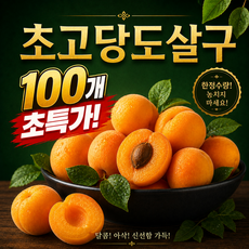 [단독특가] 농장직송 초고당도 햇 살구-프리어드, 1박스, 1kg