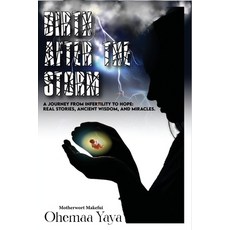 (英文圖書)Birth After The Storm: A Journey of Infertility to Hope 平裝版, Motherwort, 英文
