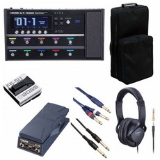 보스/GT-1000 FS-5U + EV-30