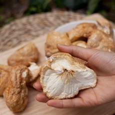 노루궁뎅이버섯 건조 차 무농약 전북 부안 100g, 1개
