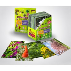 살아있는 교과서 생생 3D 증강현실 AR 식물카드 과학 과학수업교구 과학왕 학교, 1개, 상세페이지참조