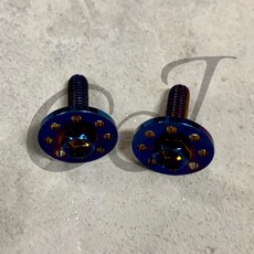 CJ M6 20mm螺絲 車牌螺絲 擋風板螺絲, 1個, 彩 2支 Colorful 2pcs