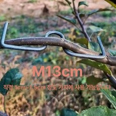 유인추 분재용 철사 개량형 M형 농자재 클립 고리 과수자재, 1개, m13cm50개
