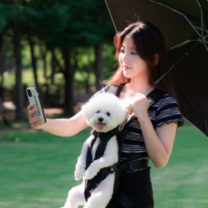 ♠[펫테일] 트래킹 강아지 앞가방 슬링백 백팩 이동가방 - 펫비투비 151176, 블랙, M