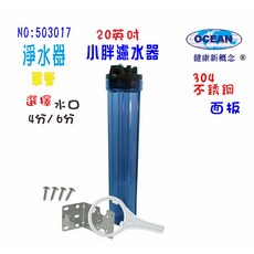 餐飲店淨水器20英吋小胖管濾水器，掛壁式全戶水塔過濾器，適用於地下水及自來水, 1個