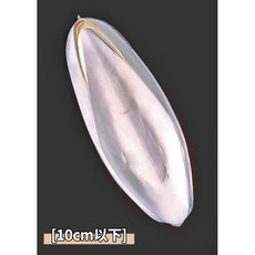 【自家漁船捕撈】完整版-野生純正墨魚骨 / 保證天然無漂白 / 鳥類及龜類補充鈣質來源 (買10贈5), 1個, 小版墨魚骨(10cm以下)買10送5