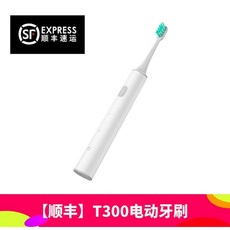 편도결석 석션기 흡입기 구강청결 이물질 제거, SF 익스프레스 T300 전동칫솔, B. SF 익스프레스 T300 전동칫솔