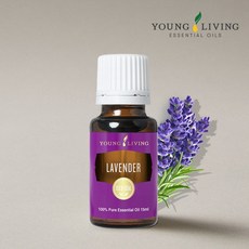 영리빙 천연 라벤더 아로마 에센셜오일 / 구매금액별 선물증정, 1개, 15ml