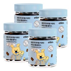 엣츠 튼튼구미 강아지 구강 덴탈 영양제, 4개, 구강/치석관리, 80정