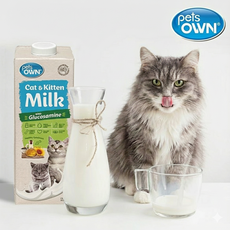 블랙독코리아 펫츠온 펫밀크 캣앤키튼 글루코사민 호주 프리미엄 고양이 멸균우유 1L [7차분], 1개, 우유
