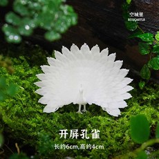 테라리움용기 인테리어 상자 가습기 식물원 이끼 수경 재배, 1개, 꼬리를 벌린 공작 (신제품)