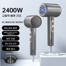 ANYOU 고출력 블루라이트 케어 헤어 드라이기 파워풍량 2400W 가정용 저소음 휴대용, 그레이, F060