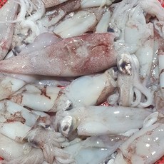 [산지직송] 자연산 급냉 한치 생물 급냉 한치 신선보장, 1개, 급냉 한치 1kg