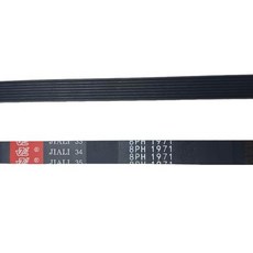 호환 8PH1971 건조기 구동 벨트는 Fisher & Paykel 1971H8