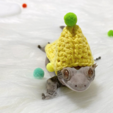 뜨개코할미 크레스티드게코 크레옷 크레스티드게코뽕뽕이후드옷 뽕뽕이뜨개후드옷 뜨개옷 도마뱀옷 도마뱀뜨개옷 도마뱀소품 뜨개코할미, L(50g-55g)