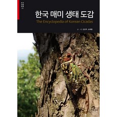 한국 매미 생태 도감, 자연과생태, 김선주,송재형 공저