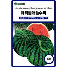 다농 큐티볼 애플수박 씨앗 5립, 1개