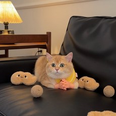 레브펫 고양이 포켓 땅콩볼 장난감, 2개