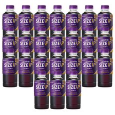 빙그레 아카페라 사이즈업 벤티 헤이즐넛, 24개, 600ml