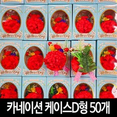 카네이션 (50개)-D형 고급 케이스 옷핀포함 단체행사 조화 코사지, 케이스 D형-50개