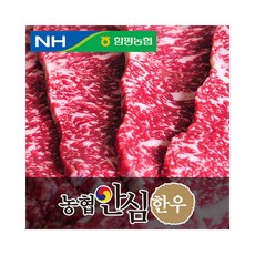 농협안심한우 채끝살, 1개, 500g 스테이크용(2등급)