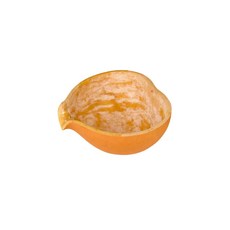 박바가지 삼재풀이 함진아비 액땜 자동차고사 표주박, 1개, 박바가지소12-16cm