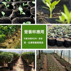 塑料育苗袋 營養杯 育苗杯 黑色 一次性 播種植用, 1個