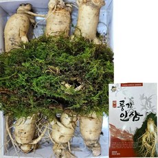 [6년근 풍기인삼 실속선물] 굵은 6뿌리 실속 종이선물상자포장 풍기인삼시장 한보인삼사, 1박스