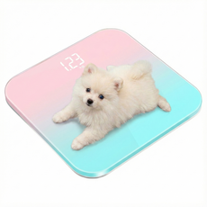 베이비테일 반려동물 체중계 강아지 고양이 소수점 측정, 1개, 오로라 민트, LED 디지털 미니 체중계