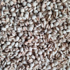 전남 곡성 산지직송 국산 율무 국내산 율무, 1박스, 2kg