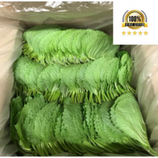 국내산 깻잎 내외, 1개, 500g