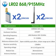 LoRa 모듈 LRO2 제품 키트 ASR6601 스마트 판독용 433M 무선 장거리 8km 확산 스펙트럼 전송 DIP, 01 빠른  Mainland, [06] 2 pcs LR02-900T22D-I