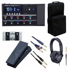 보스/GT-1000 FS-6 + EV-1-WL
