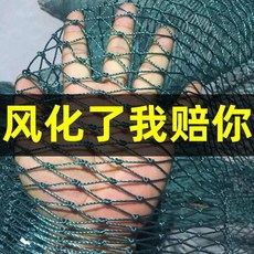養殖網 戶外用攔雞網, 1個, 戶外用攔雞網 可用8年 ,1米高3米長 送2倍繩, N/A
