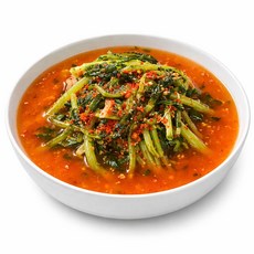 [고객만족1위] 국내산 열무 물김치 국산 프리미엄 특품재료 HACCP 인증 디아머스, 1개, 5kg