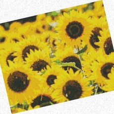 DIY해바라기보석십자수 보석십자수 취미생활 성인 패브릭 해바라기들판 40x50, 1개, 상세페이지 참조