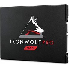 Seagate希捷 IronWolf Pro 125 240GB SSD
