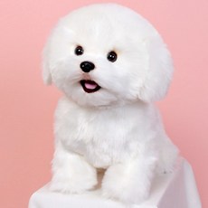 위더펫 비숑 강아지 인형, 28cm, 혼합색상, 1개