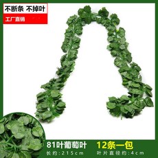 仿真葡萄葉藤蔓爬山虎藤條，常青藤綠蘿植物假綠葉吊頂裝飾，綠植牆壁裝飾, 81葉彩印葡萄葉（12條裝）, 1個