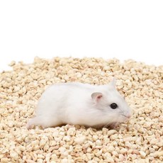 倉鼠玉米梗墊料 小寵物墊材 除臭吸水 倉鼠墊料 玉米梗墊料 天然不怕誤食, 1個, 2kg, 2kg