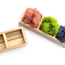 우드팩토리 스칸디아모스 편백화분세트-공기정화 플랜테리어 인테리어 집들이선물, 편백화분-4칸, 1개