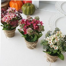 아멜리아 미니 화분 1P 조화 인테리어 소품 인조꽃 cha*3952tK, 선택:꽃 화이트, 꽃 화이트