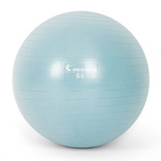 아이워너 안티버스트 짐볼 55cm 블루 더스티 bok+lyfo4G, 단일, 단일