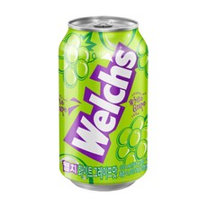 웰치스 청포도, 355ml, 12개
